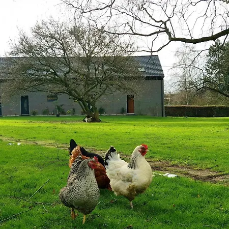 80m² Proche Frontiere Belge, Jardin Privatif, Terrasse, Inclus, 2 Chambres, Wifi - Fr-1-510-133 *