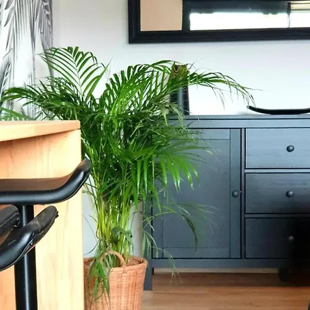 80m² Proche Frontiere Belge, Jardin Privatif, Terrasse, Inclus, 2 Chambres, Wifi - Fr-1-510-133 Prázdninový dům *