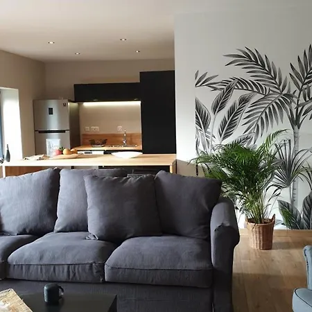 80m² Proche Frontiere Belge, Jardin Privatif, Terrasse, Inclus, 2 Chambres, Wifi - Fr-1-510-133 Sebourg