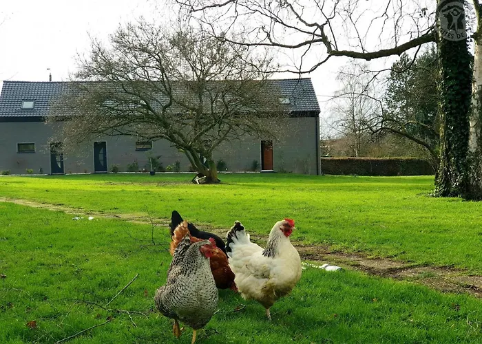 80m² Proche Frontière Belge, Jardin Privatif, Terrasse, Inclus, 2 Chambres, Wifi - Fr-1-510-133 *